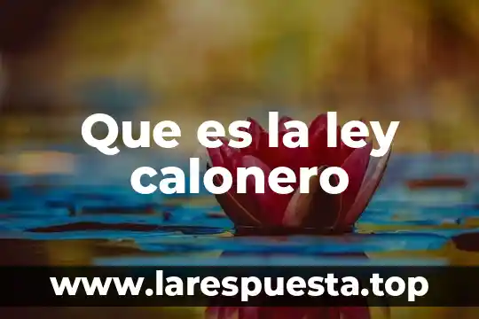 Que es la ley calonero