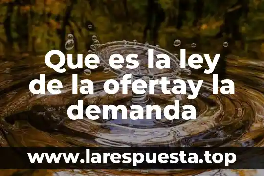 Que es la ley de la ofertay la demanda