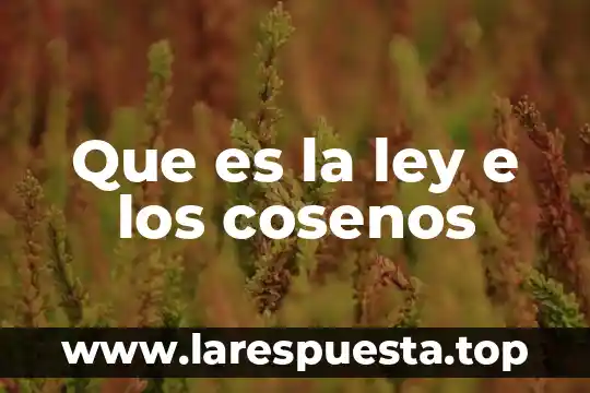 Que es la ley imzgen 8 Que es la ley e los cosenos
