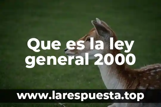 Que es la ley imzgen 4 Que es la ley general 2000