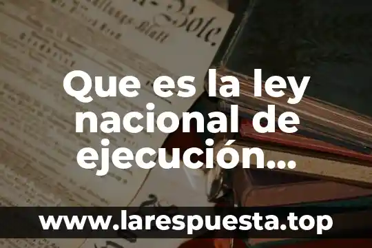 Que es la ley nacional de ejecución penal concepto