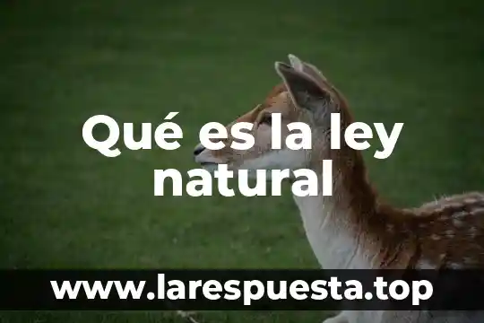 Que es numero de tarjeta bancarian iban 5 Qué es la ley natural