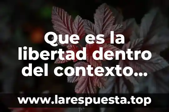 Que es la libertad dentro del contexto social
