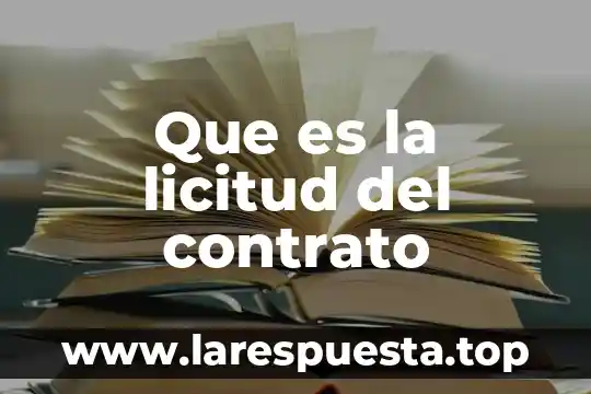 Que es un contrato sociel 7 Que es la licitud del contrato