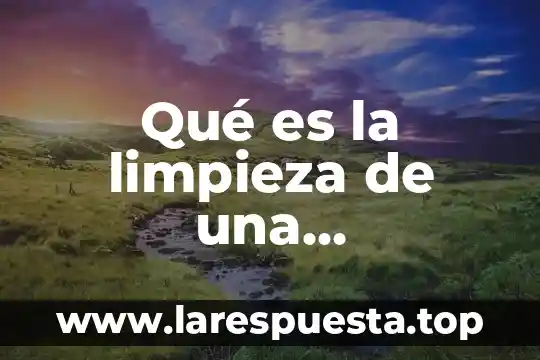 Que es limpieza articular 3 Qué es la limpieza de una computadora