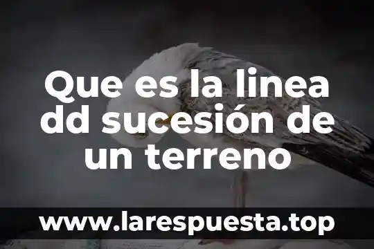 Sucesion que es y un ejemplo 7 Que es la linea dd sucesión de un terreno