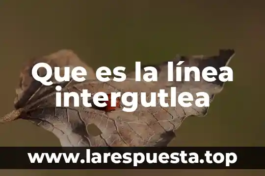 Que es aplicaciones en línea 4 Que es la línea intergutlea