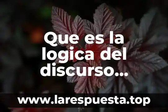 Que es la logica del discurso argumentativo