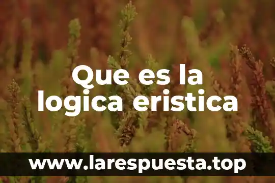 Que es la logica eristica