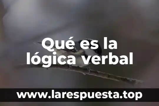 Que es el tiempo verbal en presente 6 Qué es la lógica verbal
