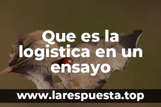 Qué es un inventario según la logística 8 Que es la logistica en un ensayo