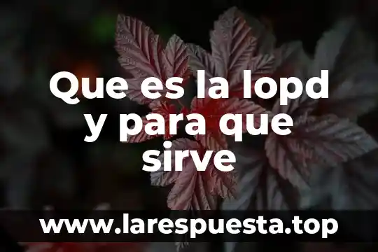 Que es una encuesta y para sirve 5 Que es la lopd y para que sirve
