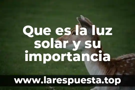 Que es la selda solar 6 Que es la luz solar y su importancia