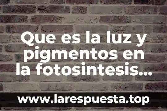 Que es la luz y pigmentos en la fotosintesis yahoo