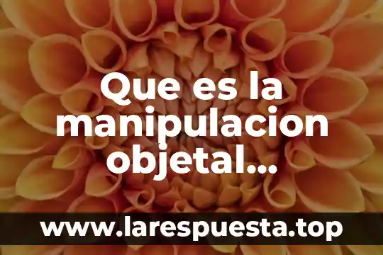 Que es la manipulacion objetal presentacion prezi