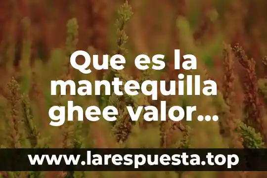 Que es la composicion nutricional de los alimentos 3 Que es la mantequilla ghee valor nutricional
