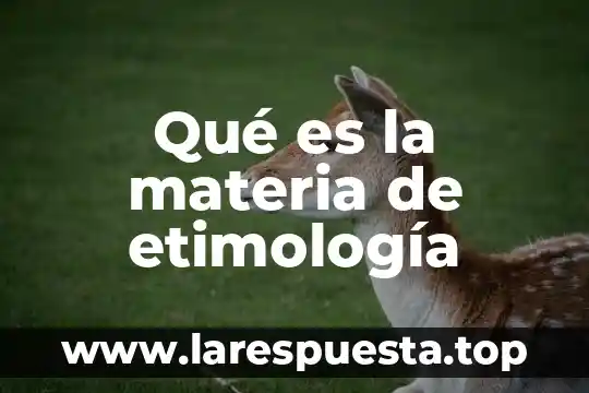 Qué es la materia de etimología