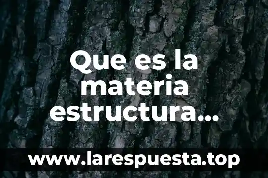 Que es superestructura en estructura socioeconomica 3 Que es la materia estructura socioeconomica de mexico