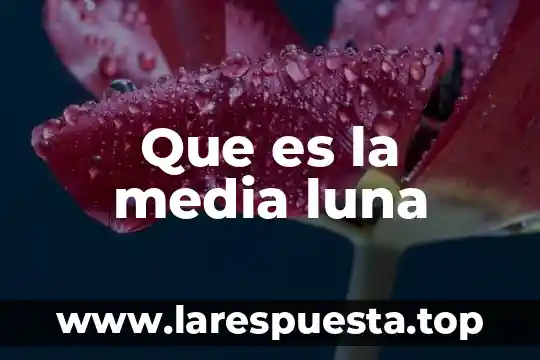 Que es la media luna