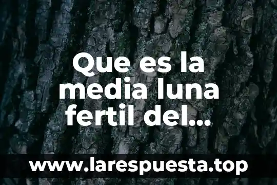 Que es la media luna fertil del cercano oriente