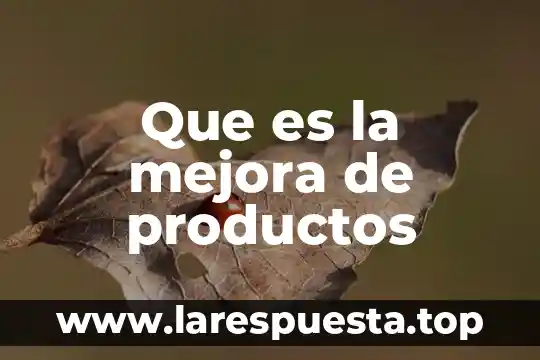 Que es el plan de mejora continua cobaes sinaloa 8 Que es la mejora de productos