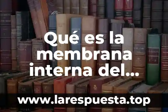 Que es un huevo retenido 5 Qué es la membrana interna del huevo