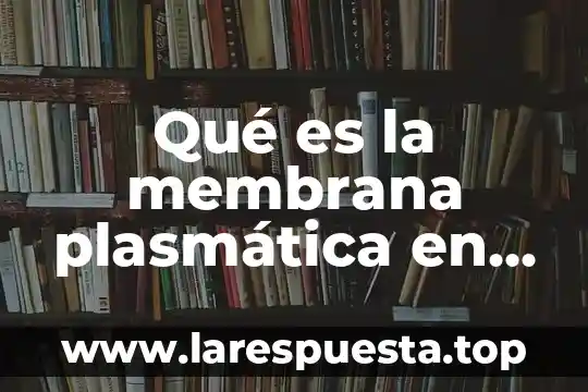 Qué es el núcleo de la célula eucariota y procariota 6 Qué es la membrana plasmática en la célula eucariota