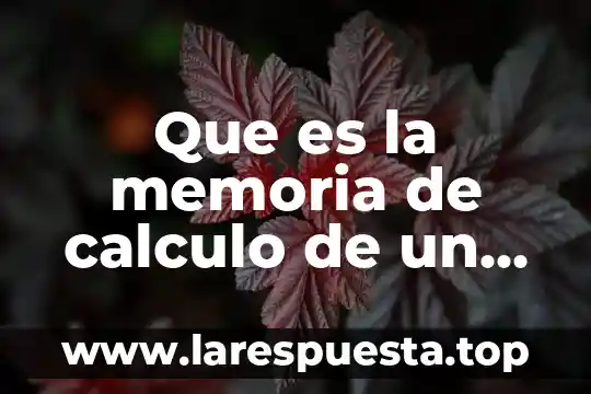 Que es la memoria de calculo de un proyecto