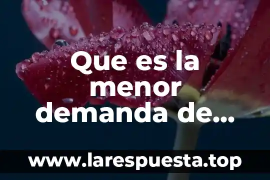 Que es la menor demanda de educacion basica