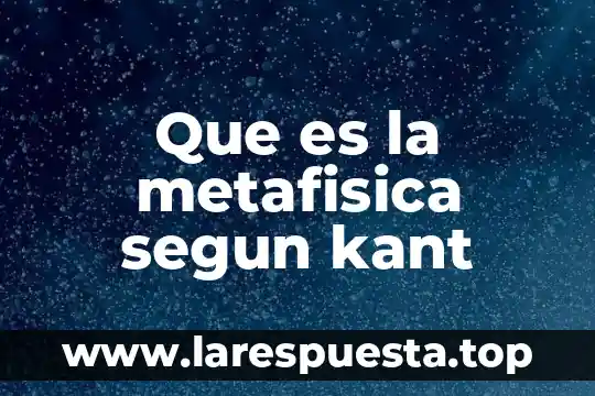 Que es la metafisica segun kant