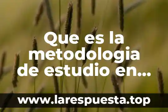 Que es la importancia de la investigacion en una tesis 7 Que es la metodologia de estudio en una tesis