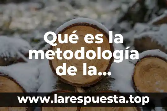 Que es la fuerza y que tipos de fuerzas hay 6 Qué es la metodología de la investigación y sus tipos