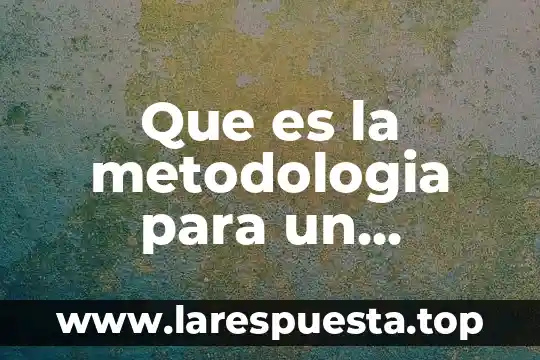 Que es un proyecto didactico de vinculacion 6 Que es la metodologia para un proyecto