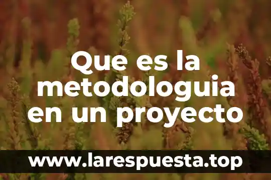 Que es la metodologuia en un proyecto