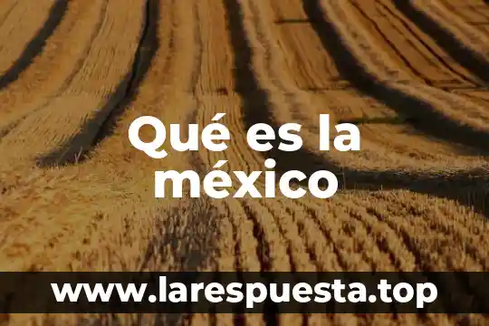 Qué es la méxico