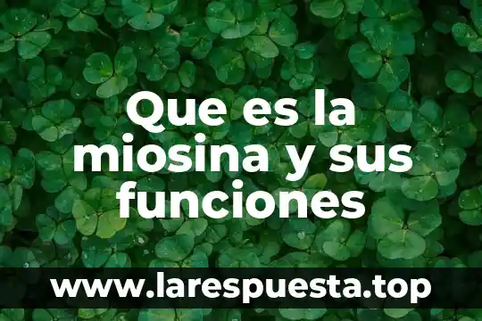 Qué es frecuencia en funciones periódicas 7 Que es la miosina y sus funciones