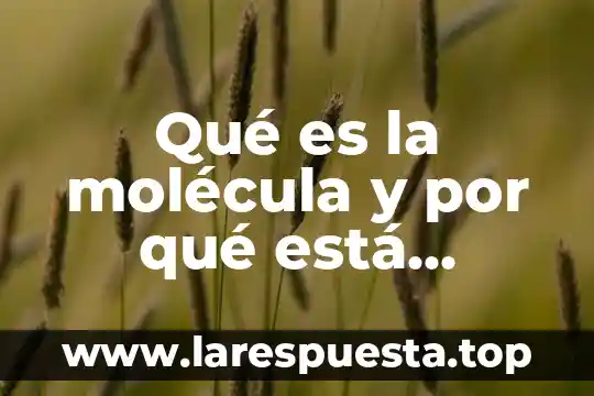 Que es y como esta formada una molecula 8 Qué es la molécula y por qué está formada