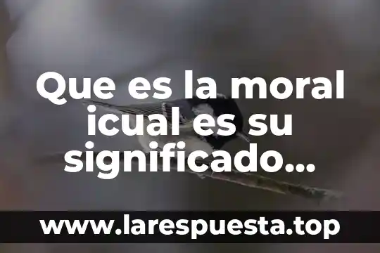 Que es la moral icual es su significado etimologico