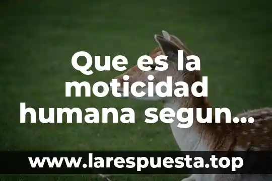 Que es la moticidad humana segun hernandez fernandes baptista 2003