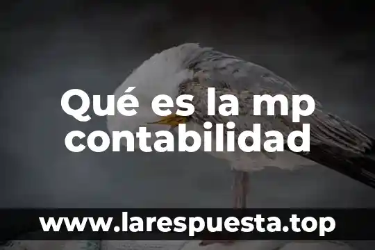 Que es contabilidad electrica 3 Qué es la mp contabilidad