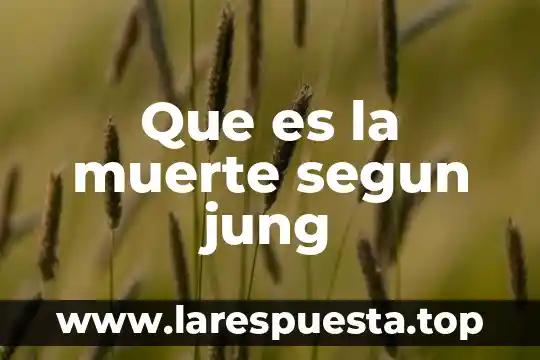 Que es la psicologia profunda para jung 5 Que es la muerte segun jung