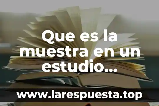 Que es la muestra en un estudio estadistico