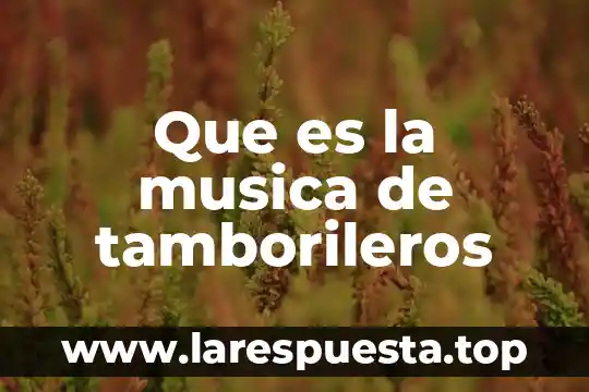 Que es musica indie rock 5 Que es la musica de tamborileros