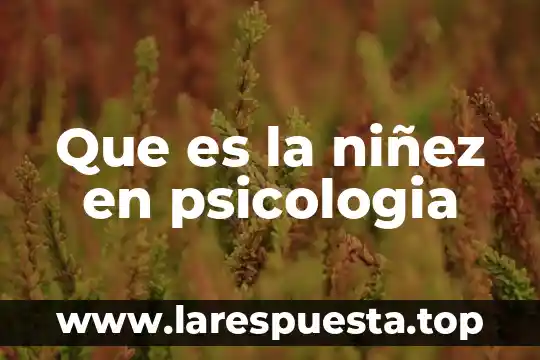 Que es la demanda en psicologia 8 Que es la niñez en psicologia