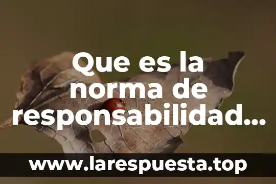 Que es responsabilidad y formacion social 4 Que es la norma de responsabilidad social internacional 1996