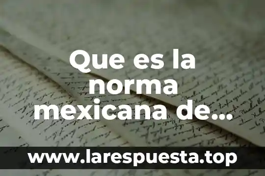 Que es la responsabilidad social profesional 3 Que es la norma mexicana de responsabilidad social empresarial