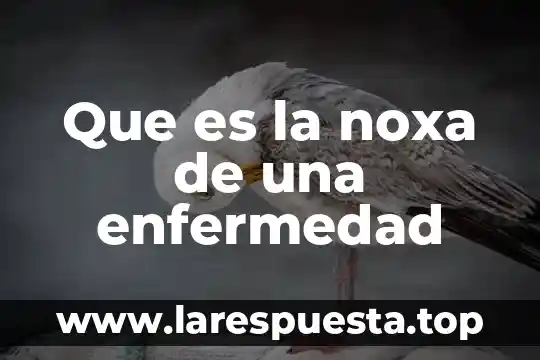 Qué es la firma electrónica del poder judicial 6 Que es la noxa de una enfermedad