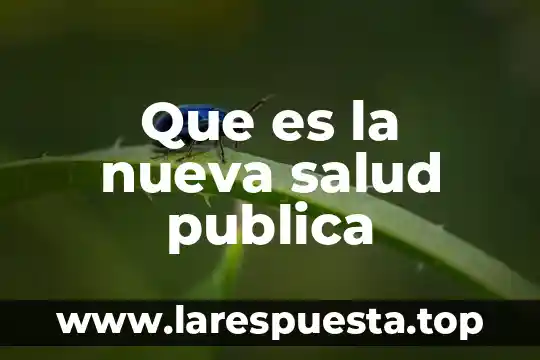 Que es la gestion en la salud 4 Que es la nueva salud publica