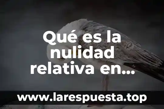 Qué es nulidad definición jurídica 6 Qué es la nulidad relativa en derecho civil