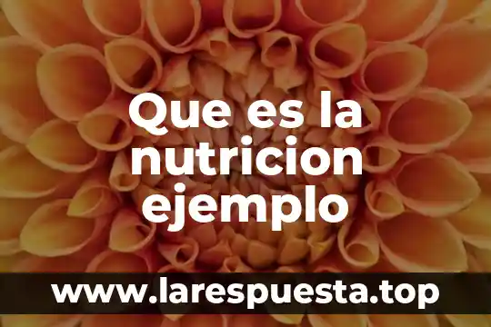 Que es la nutricion autotrofa tipos 7 Que es la nutricion ejemplo